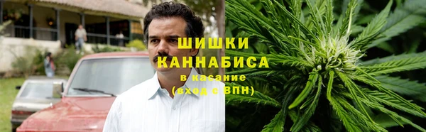 не бодяженный Новосибирск
