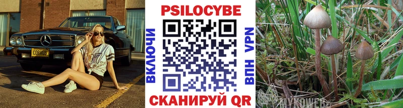 Купить где  Покров  Галлюциногенные грибы Cubensis 